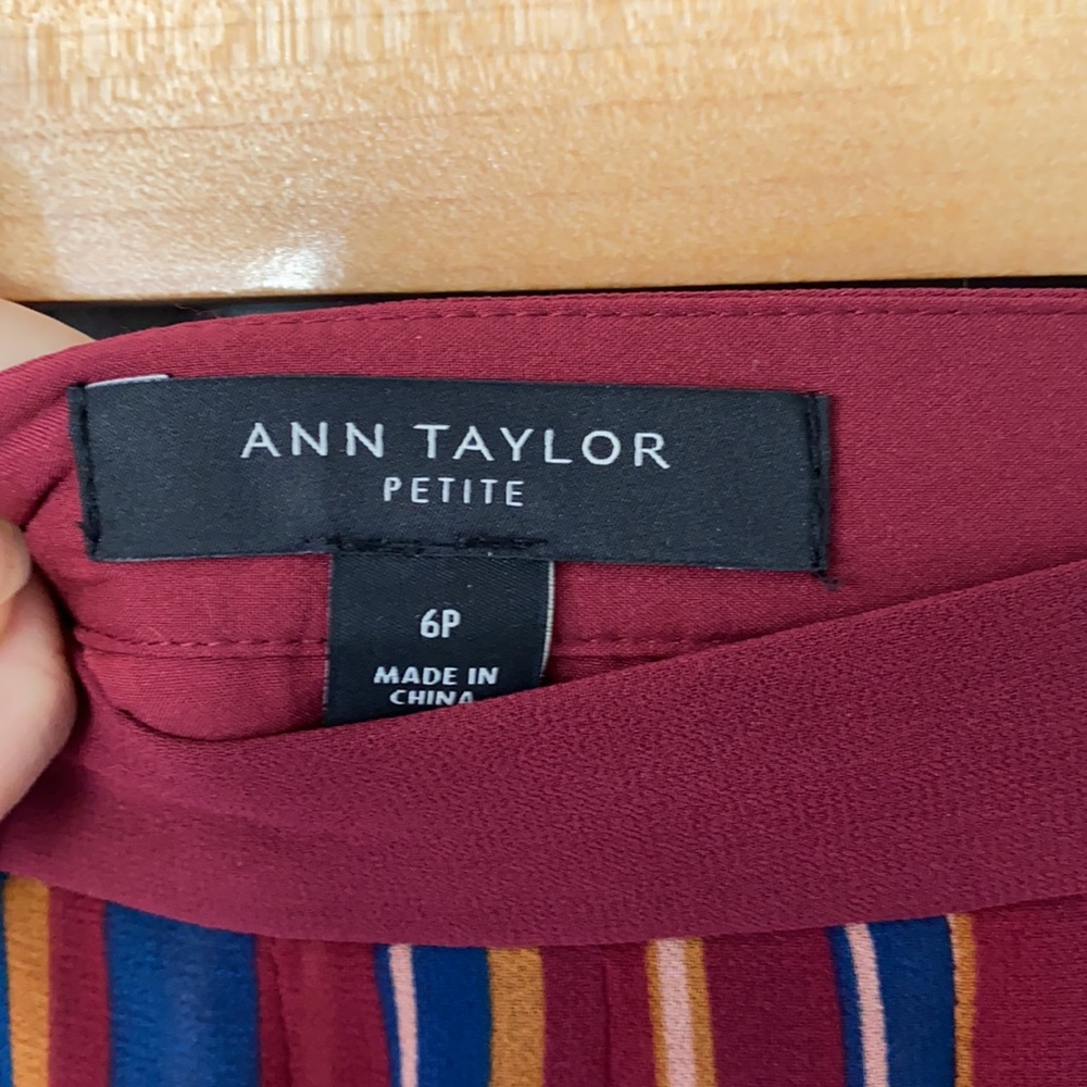 NWT Ann Taylor Pleated Striped Skirt Business Casual Retro Size 6P Academia - Picture 3 of 6
